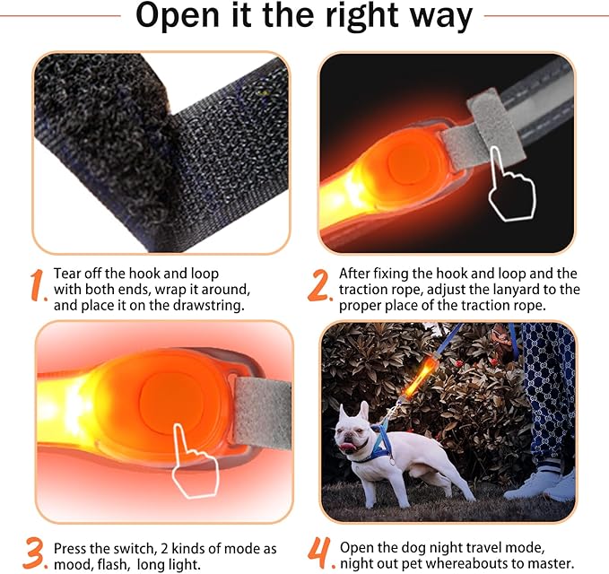 LaRoo Light Up Dog Collar with Nylon Stickers, Universal Glowing Collar Accessories for Leash