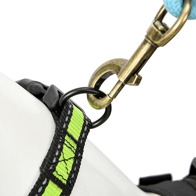 Mile High Life Dog Collar | Nylon Reflective Dog Collars | Light Weight Puppy Collars | Lime Green