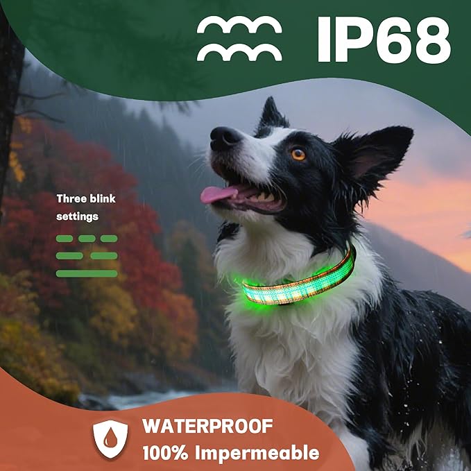 DOGWONG LED Dog Collar - Fall Orange Plaid Heavy Duty Light up Dog Collars - Rechargeable