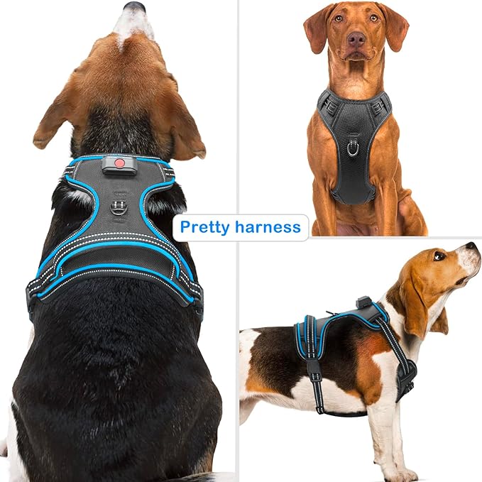 Light Up Dog Harness, No Pull LED Dog Harness with Handle, Rechargeable Lighted Safety Vest for