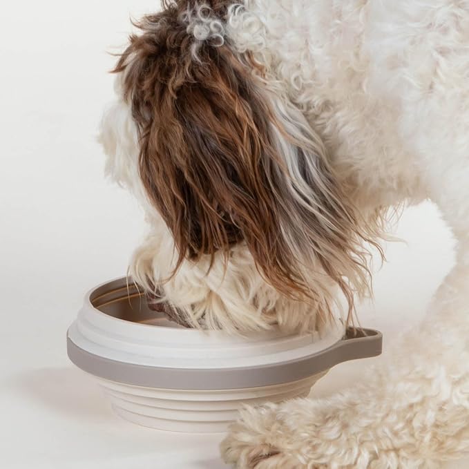 Nomad Large Collapsible Dog Bowl - 4 Cup Food-Safe Silicone Travel Bowl for Dogs, Portable &