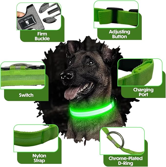 Light Up Dog Collar ??Reflective, Adjustable, Rechargeable Electronic Glow Pet Collars ??Bright