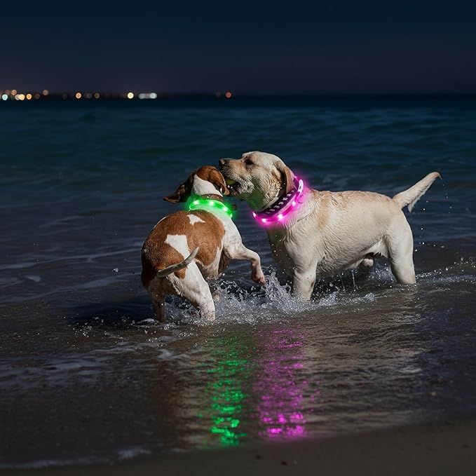 Light Up Dog Collar, Rechargeable Glowing Dog Collar, Light Dog Collar for Night Walking with 1640