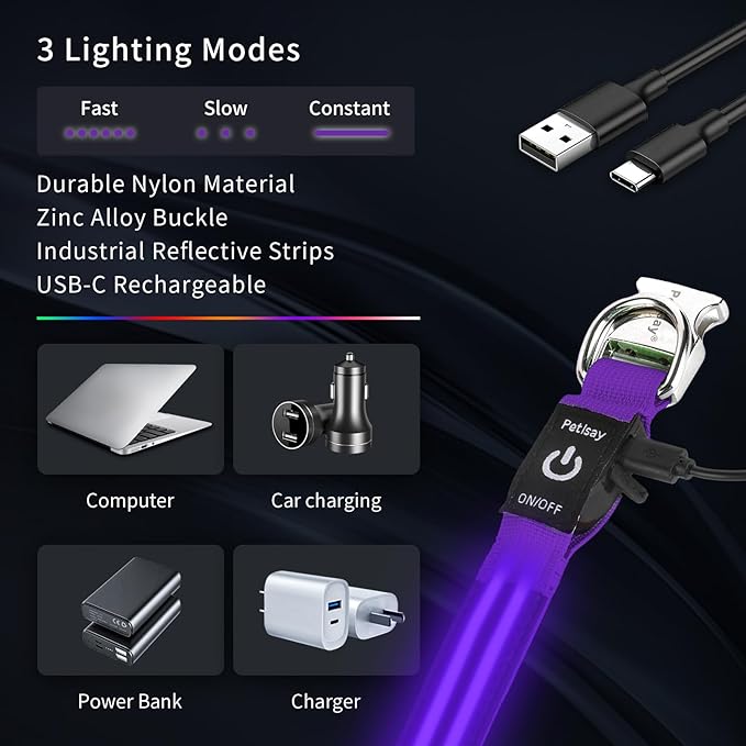 LED Dog Collar with Metal Buckle - USB Rechargeable Glow Collar for Dogs, Waterproof Light Up Dog