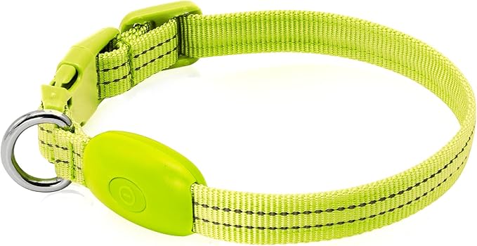 LED Dog Collar - Light Up, Adjustable, Rechargeable, Waterproof, Glow in Dark for Small Pets (S