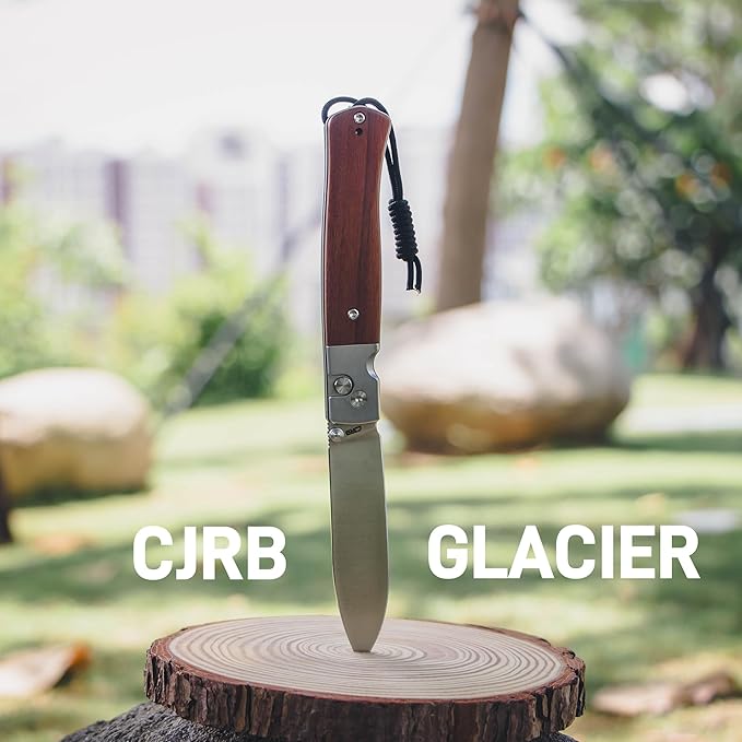 CJRB Glacier Folding Knife, 3.54'' AR-RPM9 Steel Blade EDC Knives with Wood Handle for Camping