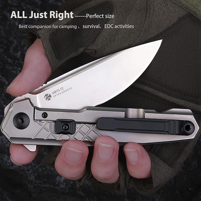 Ruike Tactical Folding Pocket Knife for Men,N690 Stainless Steel Blade,TC4 Titanium Alloy