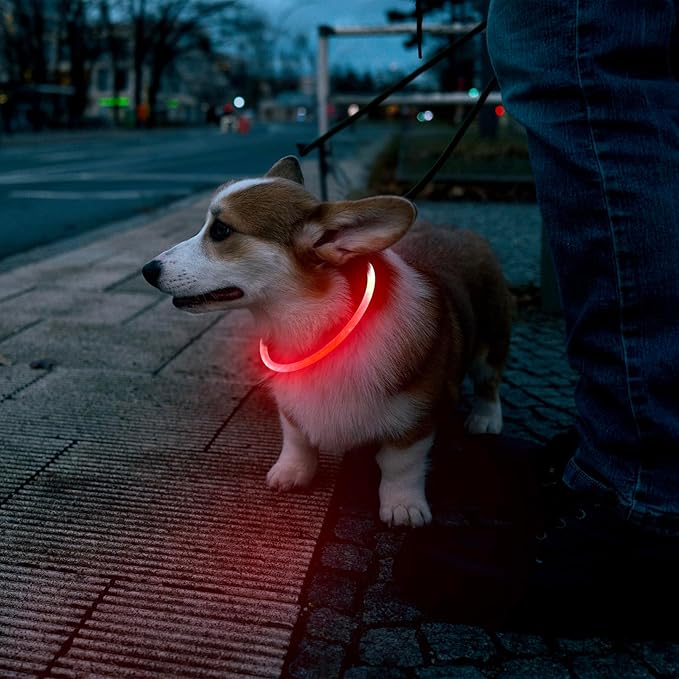 Flashseen LED Dog Collar, USB Rechargeable Glowing Lighted Up Collar, Cuttable Water-Resistant TPU