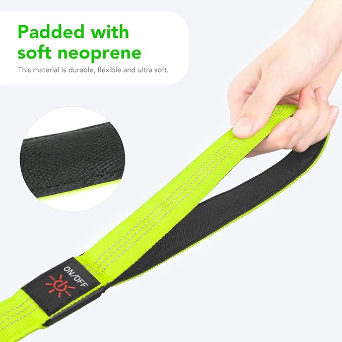Colaseeme Light Up Dog Leash, LED Pet Leashes USB Rechargeable, Glow Safety Dogs Lights at Night