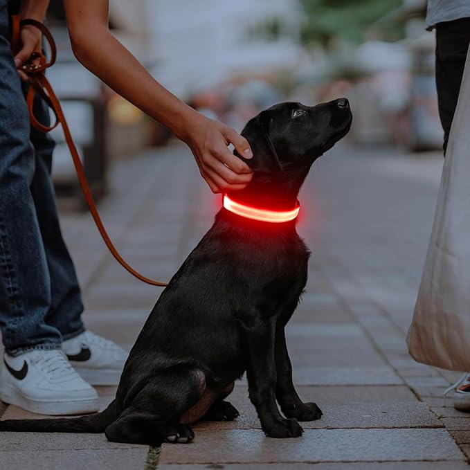 Illumifun Light Up Dog Collar - USB Rechargeable LED Dog Collar Glow in The Dark, Adjustable Pet
