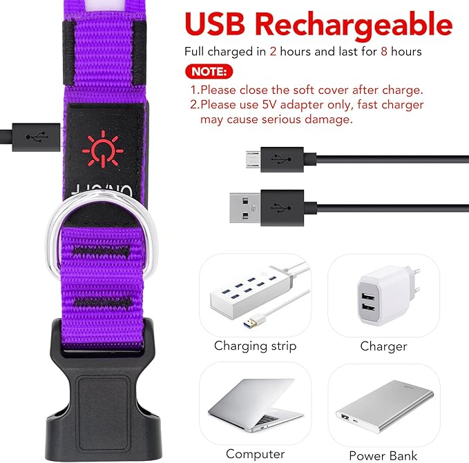 VIZPET LED Dog Collar, Light Up Dog Collar Adjustable USB Rechargeable Super Bright Safety Light