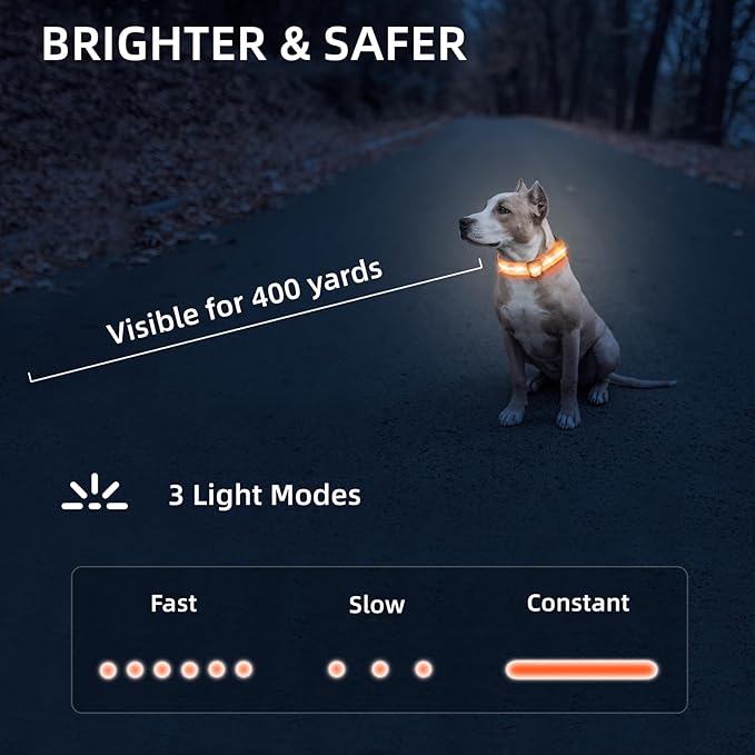 Super Bright LED Dog Collar - Fully Waterproof & Adjustable Glow Collar - USB-C Rechargeable for