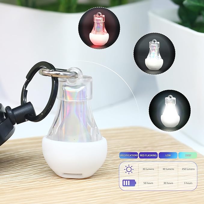 Mini Lantern LED Flashlight, Small Keychain Flashlight Rechargeable USB, Waterproof Pocket Purse