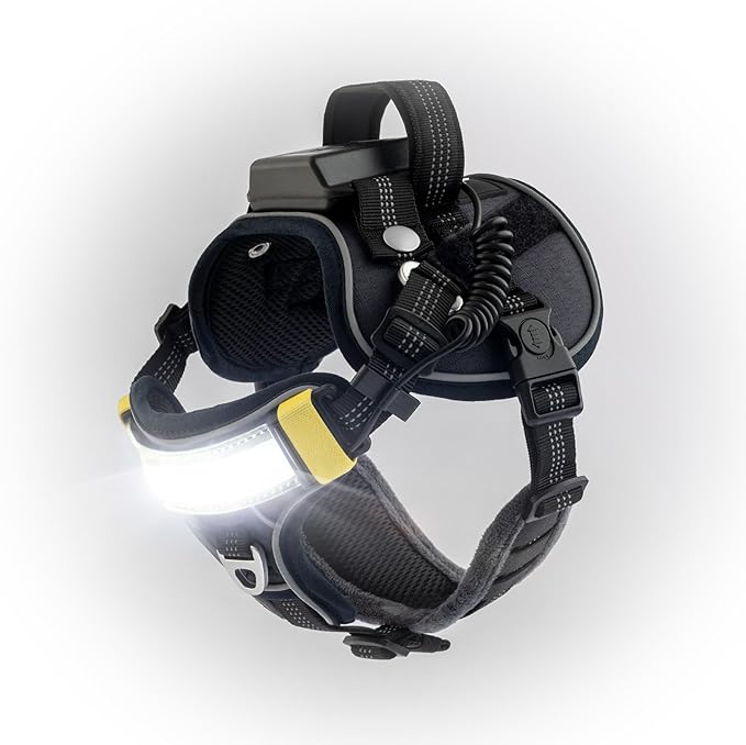 Lumi One LED Dog Harness for Night Visibility and Safety, Patent Pending ??High-Visibility Light-Up