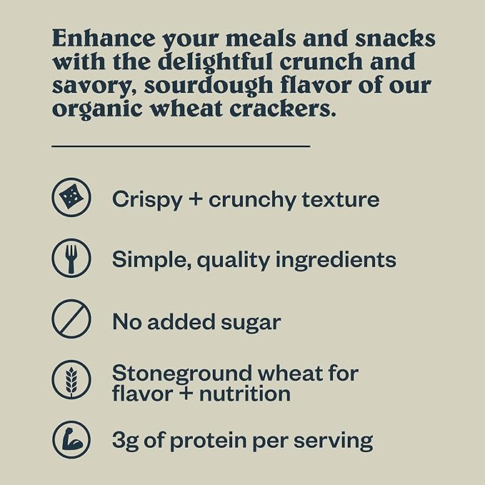 Patagonia Provisions Organic Sourdough Sea Salt Crackers (6 Pack) ??3g Plant Protein Per Serving