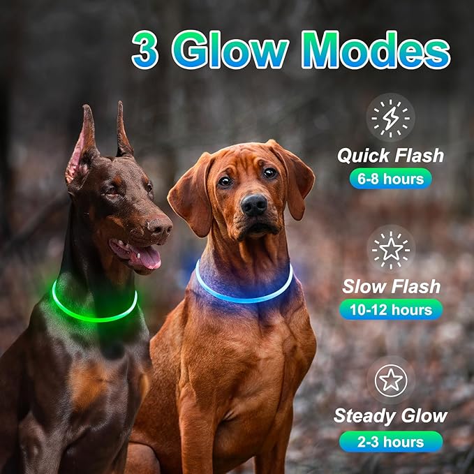 2 Packs Light Up Dog Collar, LED Dog Collar, USB Rechargeable Dog Lights for Night Walking