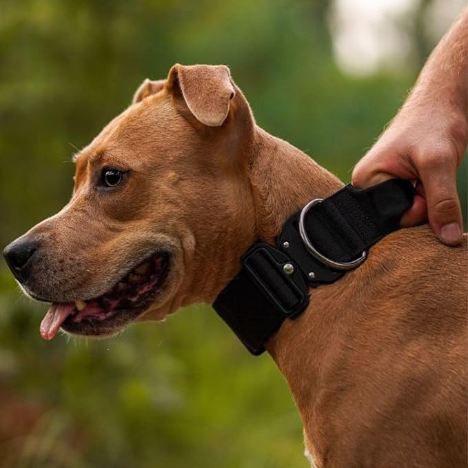 Spark Paws Tactical Dog Collar - Heavy Duty, Premium Quality, Thick and Durable for Large and
