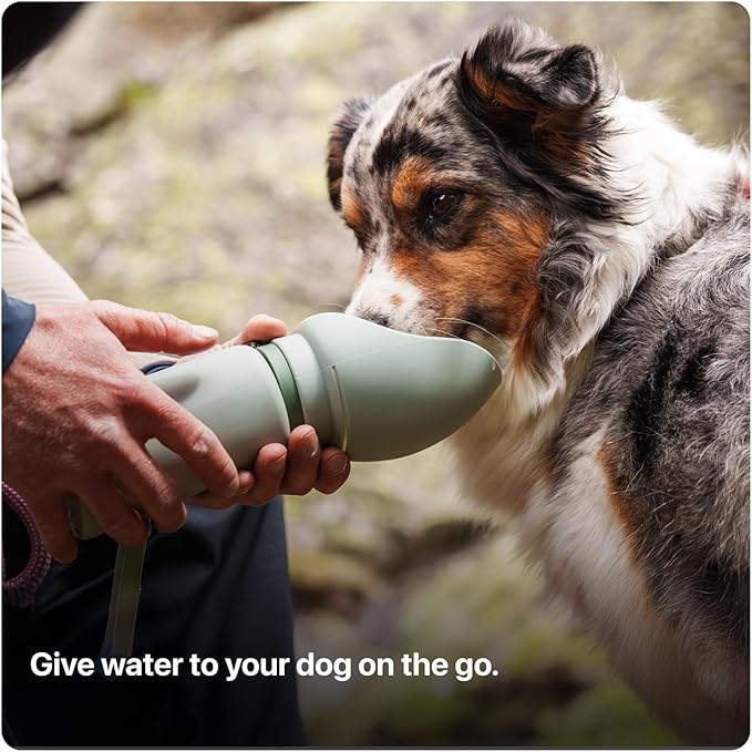 SÄKER Portable Dog Water Bottle, Collapsible Water Bottle for Dogs Perfect for Walking, Hiking and
