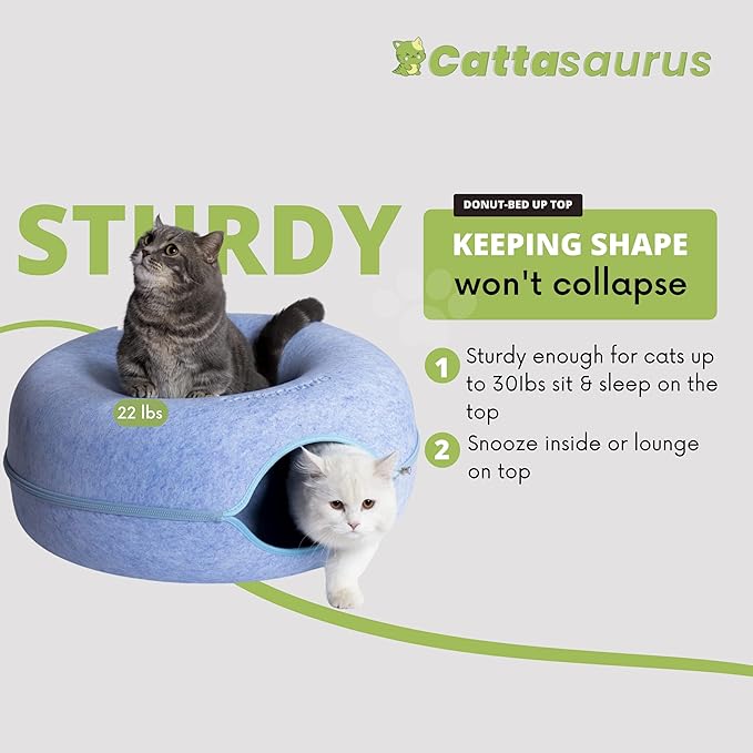 CATTASAURUS Peekaboo Cat Cave for Multiple & Large Cats Up to 30-45 Lbs, Scratch Detachable &