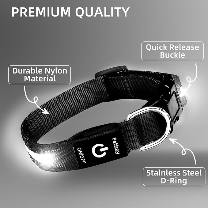 Super Bright LED Dog Collar - Fully Waterproof & Adjustable Glow Collar - USB-C Rechargeable for