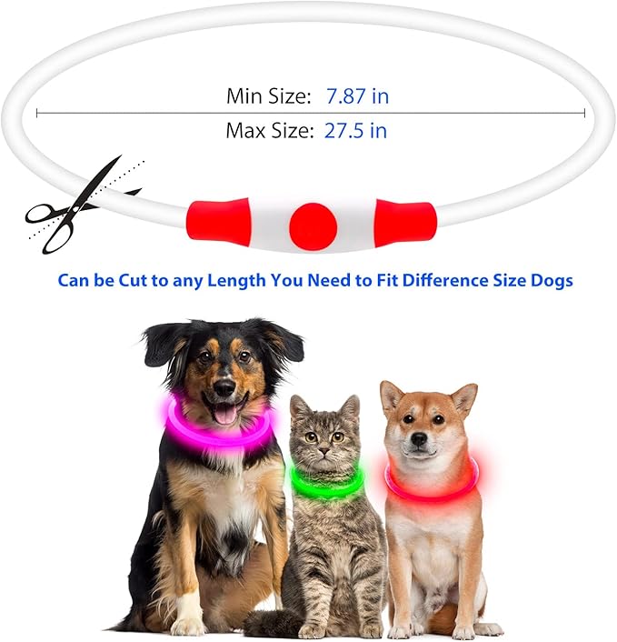 Flashseen LED Dog Collar, USB Rechargeable Glowing Lighted Up Collar, Cuttable Water-Resistant TPU