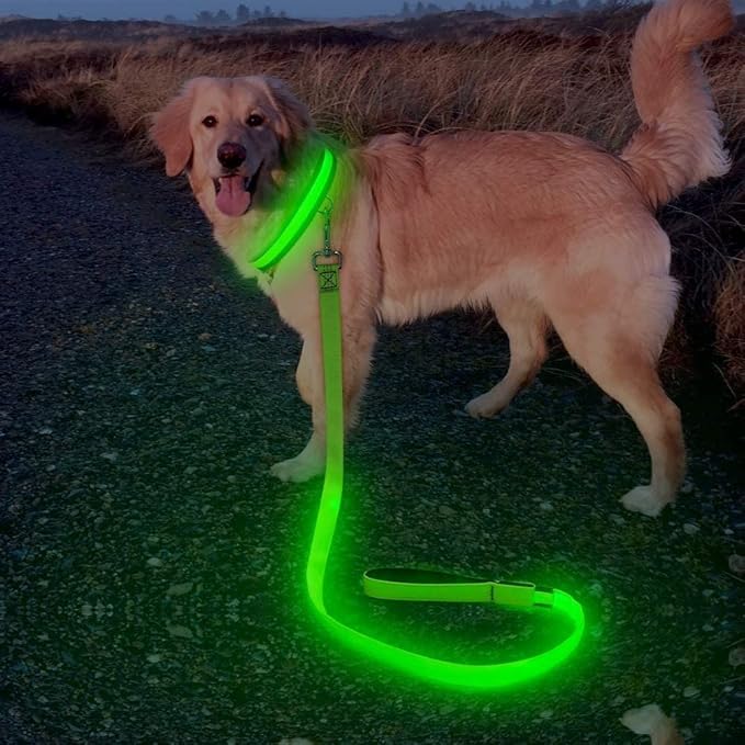 Candofly Glowing LED Dog Leash, Rechargeable Pet Leash with Lights, 4 Ft Light Up Dog Leash for