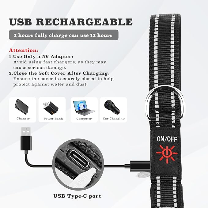 4 Ft LED Dog Leash, Light Up & Lighted Dog Leash, 7 Lighting Modes, Glow in The Dark, Reflective