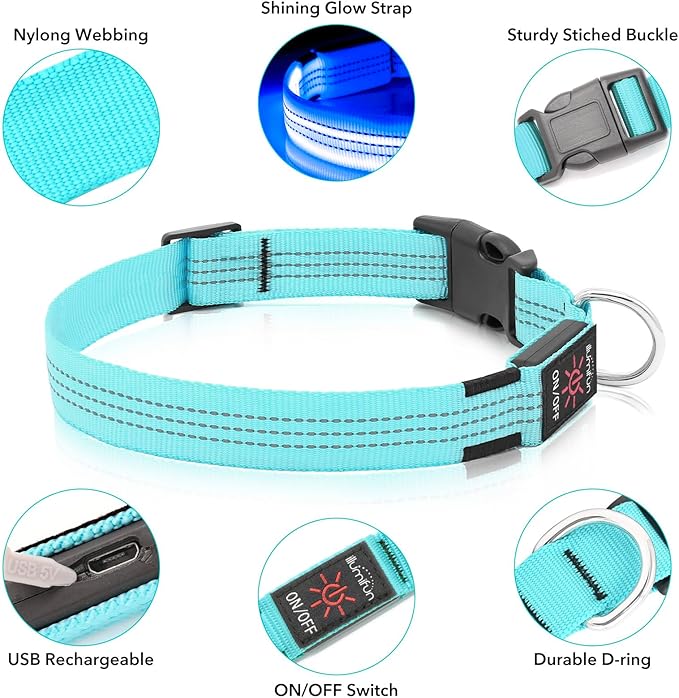Illumifun LED Dog Collar, Reflective Light Up Collars for Small Dog, USB Rechargeable Pet Collar