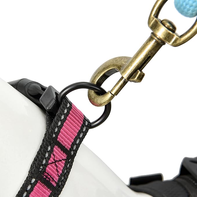 Mile High Life Dog Collar | Nylon Reflective Dog Collars | Light Weight Puppy Collars | Pink Dog