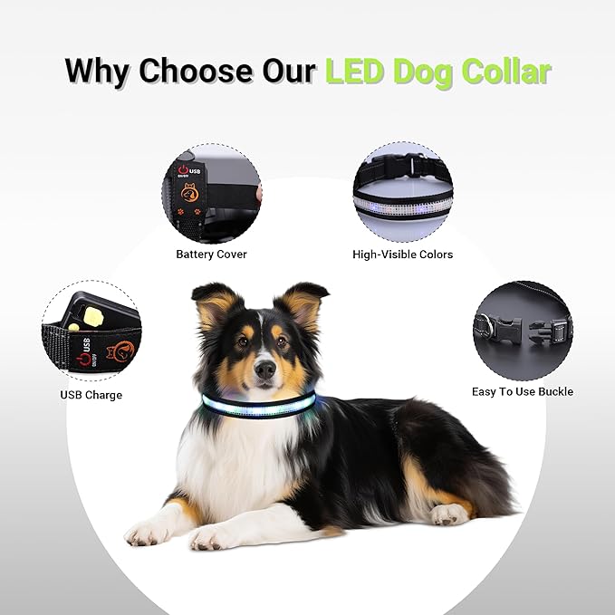 Light Up Dog Collar,Rechargeable Waterproof Led Dog Collar with Remote,Glow in Dark for Night