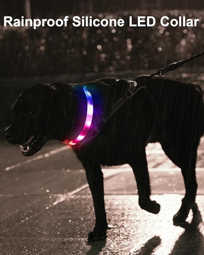 Joytale Light Up Dog Collar, Rainproof and Rechargeable LED, 9 Flashing Modes, Glow for Night