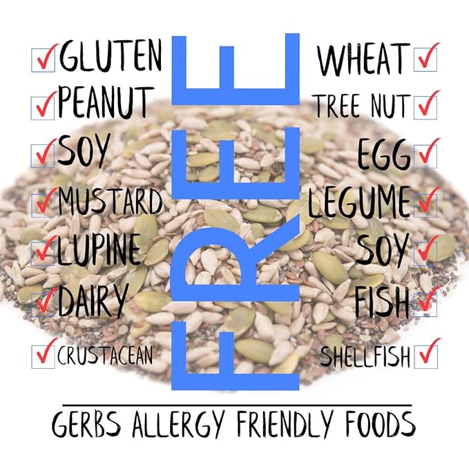 GERBS Super 5 Seed Snack Mix 1 LB. Premium Grade | Top 14 Food Allergy Free | Resealable Bulk Bag |