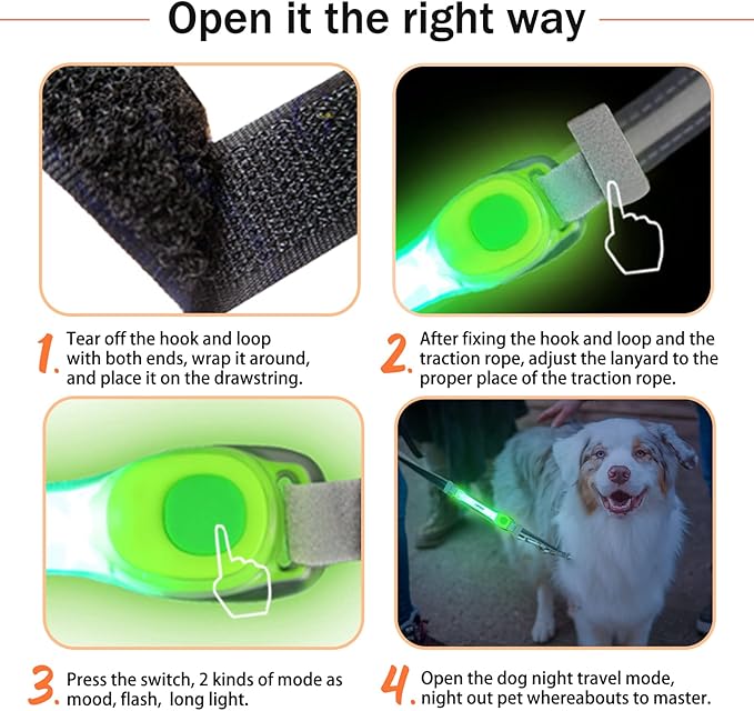 LaRoo Light Up Dog Collar with Nylon Stickers, Universal Glowing Collar Accessories for Leash