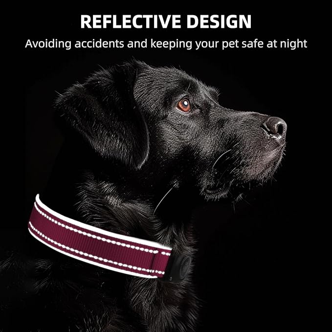 Airtag Dog Collar - 100% Waterproof AirTag Holder, Reflective, Soft Padded, Everlasting GPS Collar