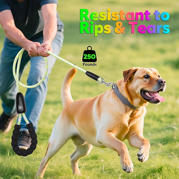 YFbrite Waterproof Light up Dog Leash with 15 Flashing Modes - Super Bright LED Dog Leash for Small