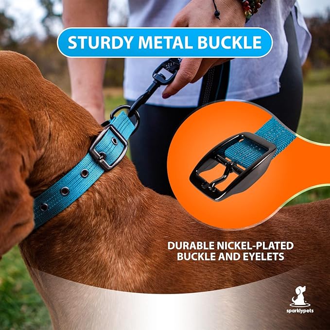 SparklyPets Heavy Duty Dog Collar with Handle for Medium and Large Dogs ??Professional Collar with