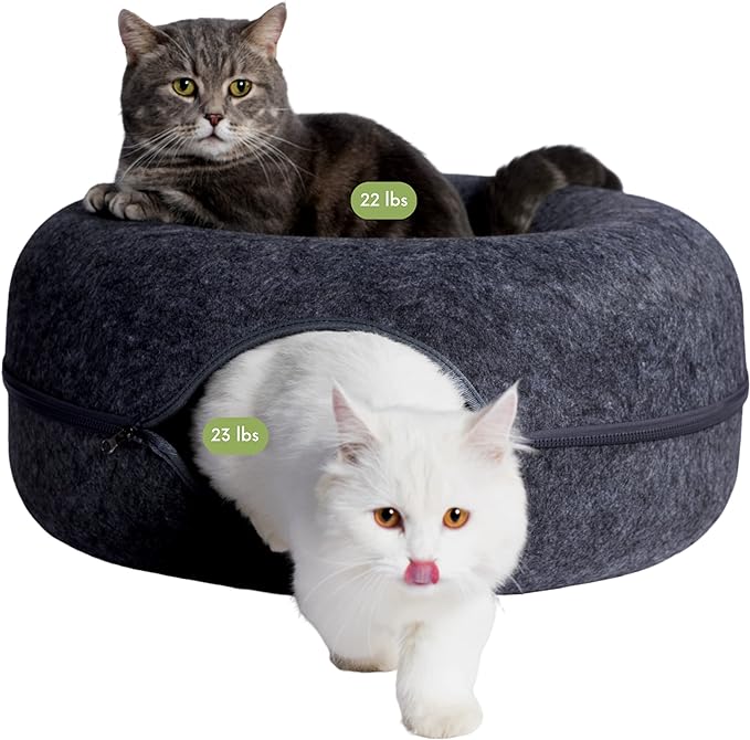 CATTASAURUS Peekaboo Cat Cave for Multiple & Large Cats Up to 30-45 Lbs, Scratch Detachable &