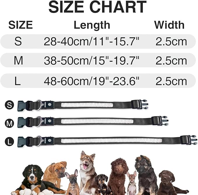 MASBRILL Light Up Dog Collars - LED Dog Collar Rechargeable Lighted Dog Collars for Night
