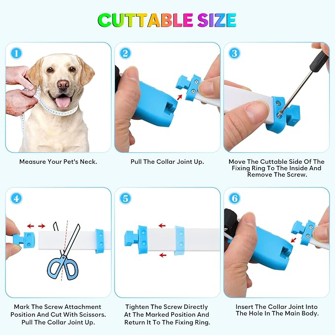 Flashseen LED Dog Collar, USB Rechargeable Glowing Lighted Up Collar, Cuttable Water-Resistant TPU