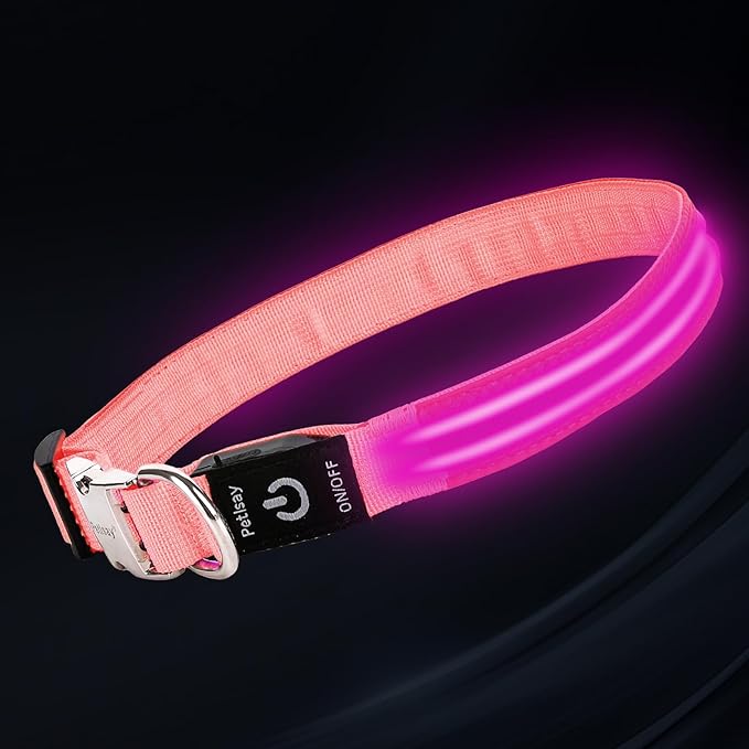 LED Dog Collar with Metal Buckle - USB Rechargeable Glow Collar for Dogs, Waterproof Light Up Dog
