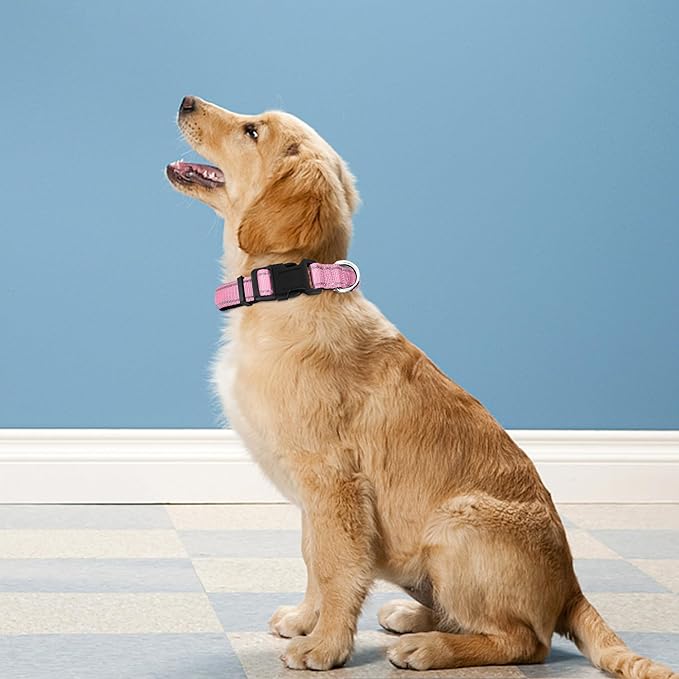 Reflective Dog Collar, Adjustable Soft Neoprene Padded Nylon Pet Collars with Buckle for Puppy and