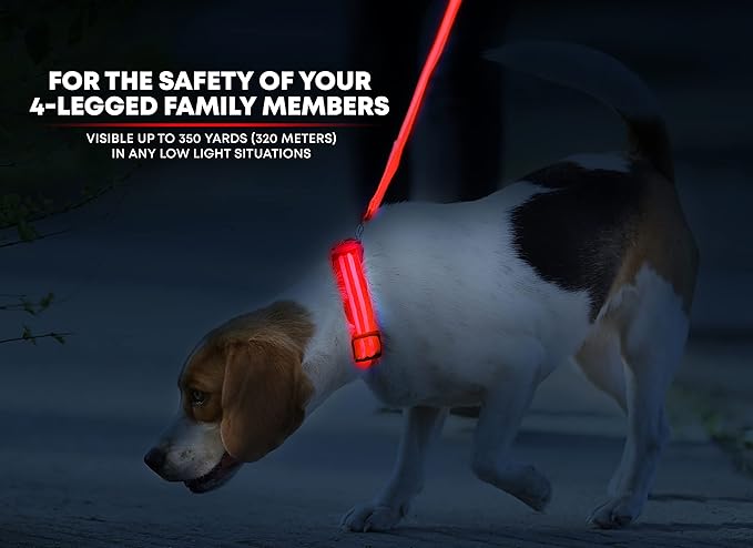 Illumiseen LED Dog Collar USB Rechargeable - Bright & High Visibility Lighted Glow Collar for Pet