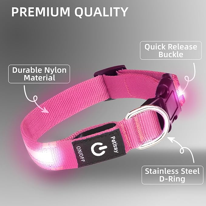 Super Bright LED Dog Collar - Fully Waterproof & Adjustable Glow Collar - USB-C Rechargeable for