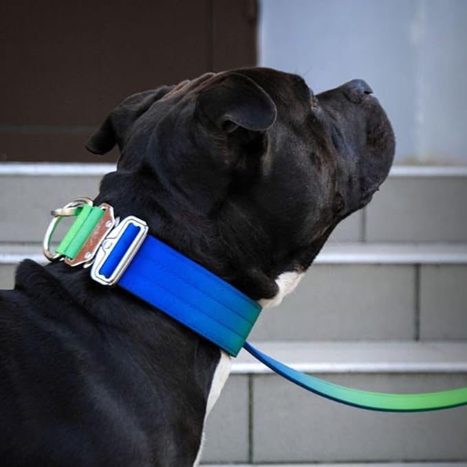 Spark Paws Tactical Dog Collar - Heavy Duty, Premium Quality, Thick and Durable for Large and