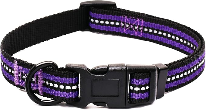Mile High Life Dog Collar | Nylon Reflective Dog Collars | Light Weight Puppy Collars | Purple Dog