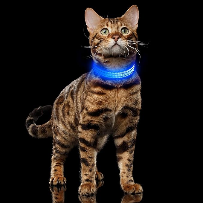 Illumifun LED Collar for Small Dogs - USB Rechargeable Dog Safety Collar Light, Adjustable Nylon