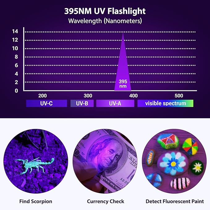 UV Flashlight, Portable Blacklight Flashlight, LED Torch with White and Ultraviolet Light Combo