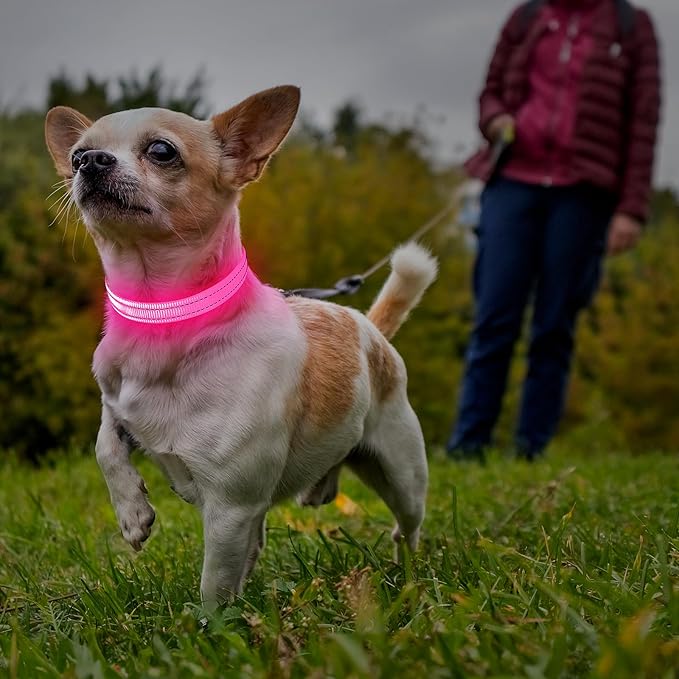 Illumifun LED Cat Collar, USB Rechargeable Light Up Dog Collar, Adjustable Safety Collar Light for