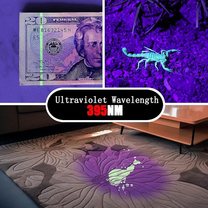 UV Flashlight 2 Pack Ultraviolet, 395nm Mini Penlight Portable and Compact Black Light for Pet
