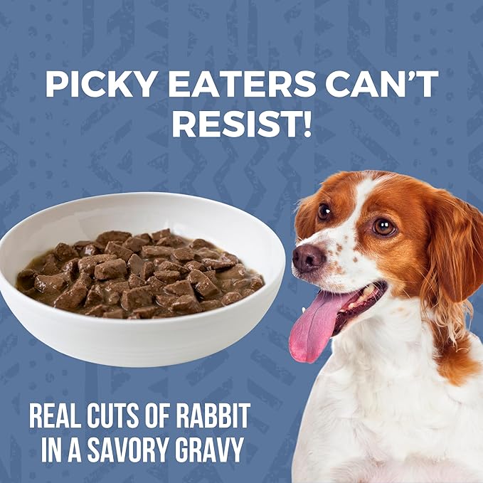 KOHA Minimal Ingredient Rabbit Stew for Dogs, High Protein Limited Ingredient Dog Food, 12.7oz Cans
